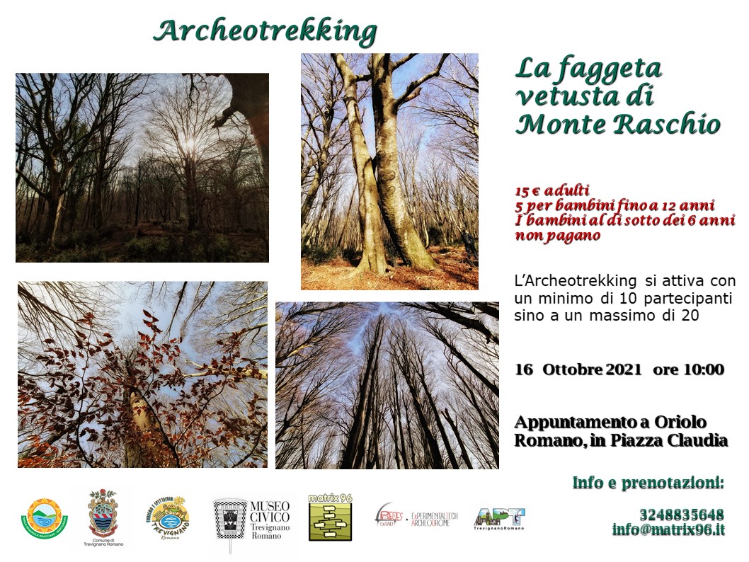 La faggeta vetusta di Monte Raschio Parco di Bracciano La faggeta vetusta di Monte Raschio Parco di Bracciano